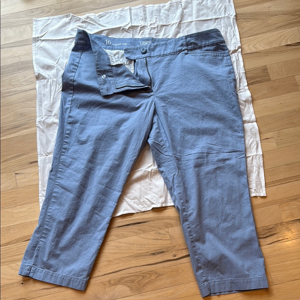LOFT Women's Light Blue Capris